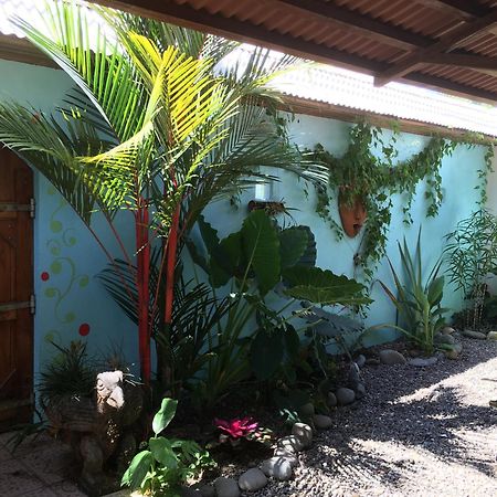 Sueno Grande B&B Puerto Viejo de Talamanca 외부 사진